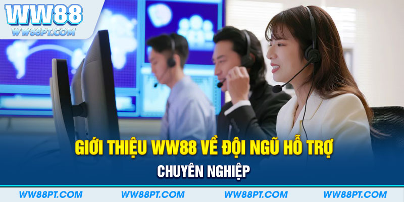 Giới thiệu WW88 về đội ngũ hỗ trợ chuyên nghiệp