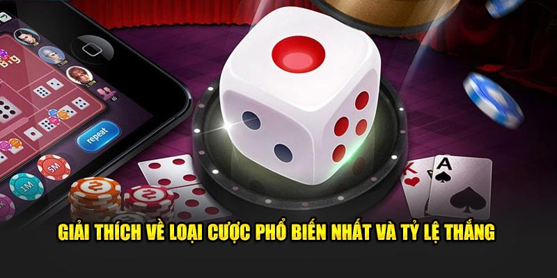 Giải thích về loại cược phổ biến nhất và tỷ lệ thắng