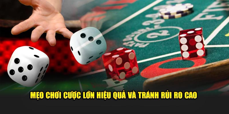 Mẹo chơi cược lớn hiệu quả và tránh rủi ro cao