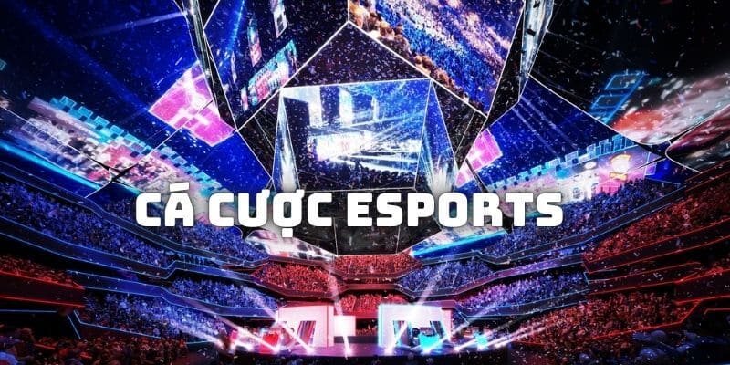 Các loại đặt cược esports tại sảnh U888 